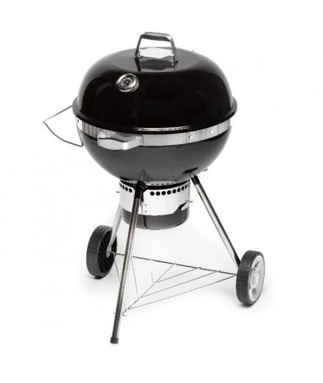 Barbecue au charbon de bois - Fieldmann - FZG 1017