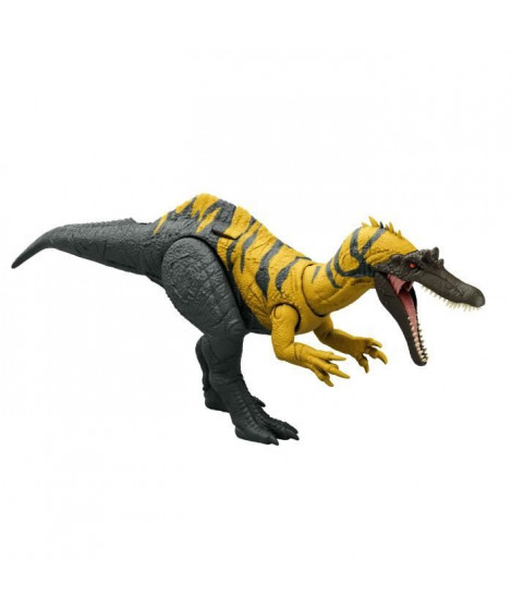 CERATOSUCHOPS SONORE