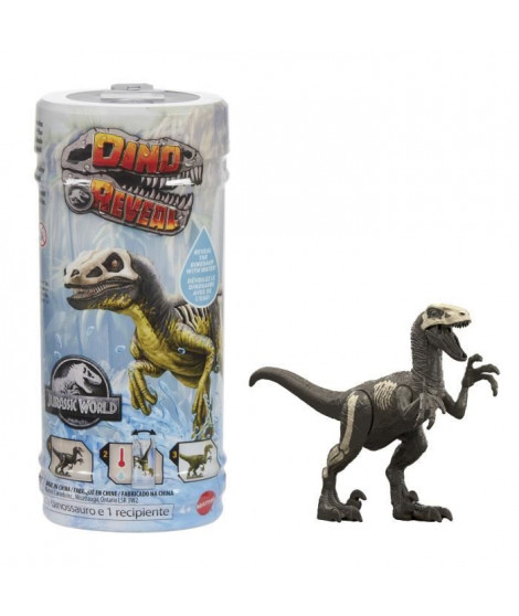 Jurassic World Assortiment Dino reveal JDC52 - 4 ans+ - modele aléatoire